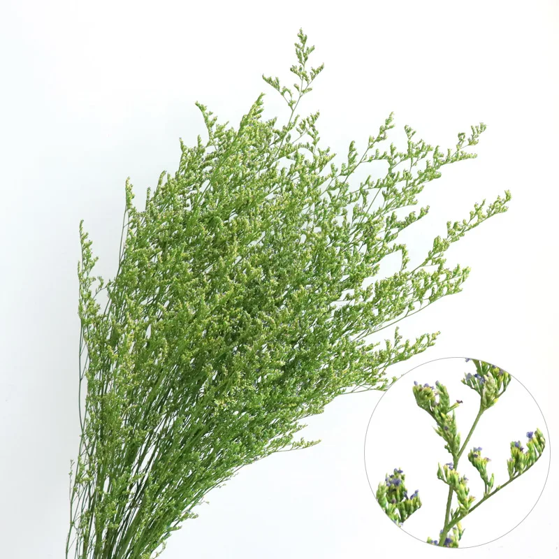 

Dried Natural Flowers Fresh Eternal Display Flower Grass Preserved Lover Grass Wedding Arrangement Party Home Table Decoration