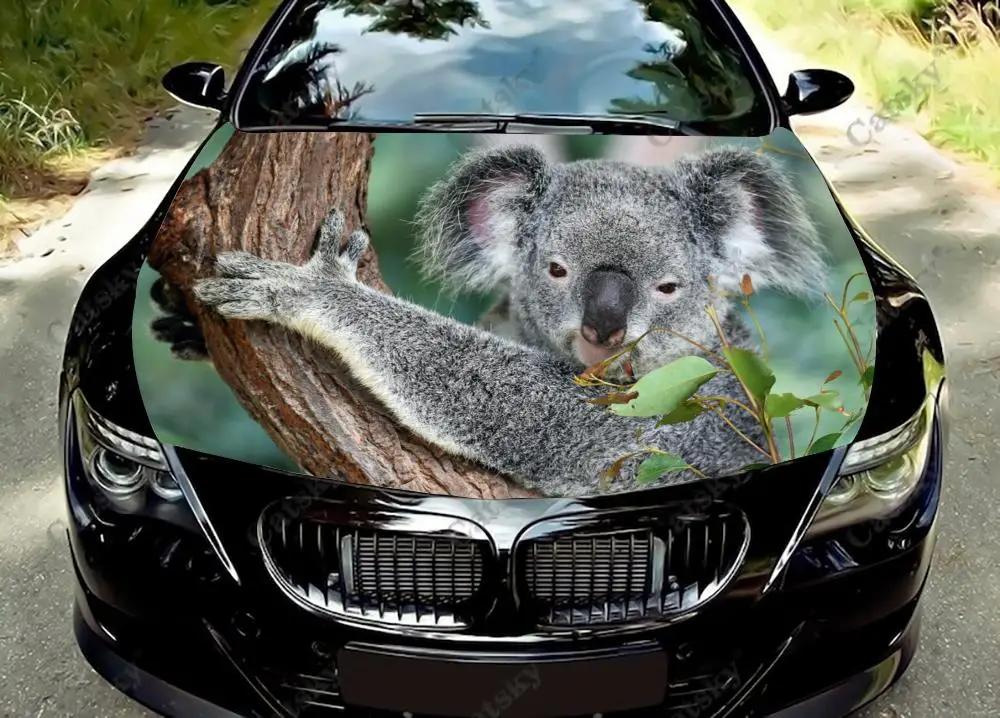 Koalas Climb Trees Car Hood Sticker Painting Self-adhesive Universal Car Accessories Film Modified Hood Protect Decal Decoration