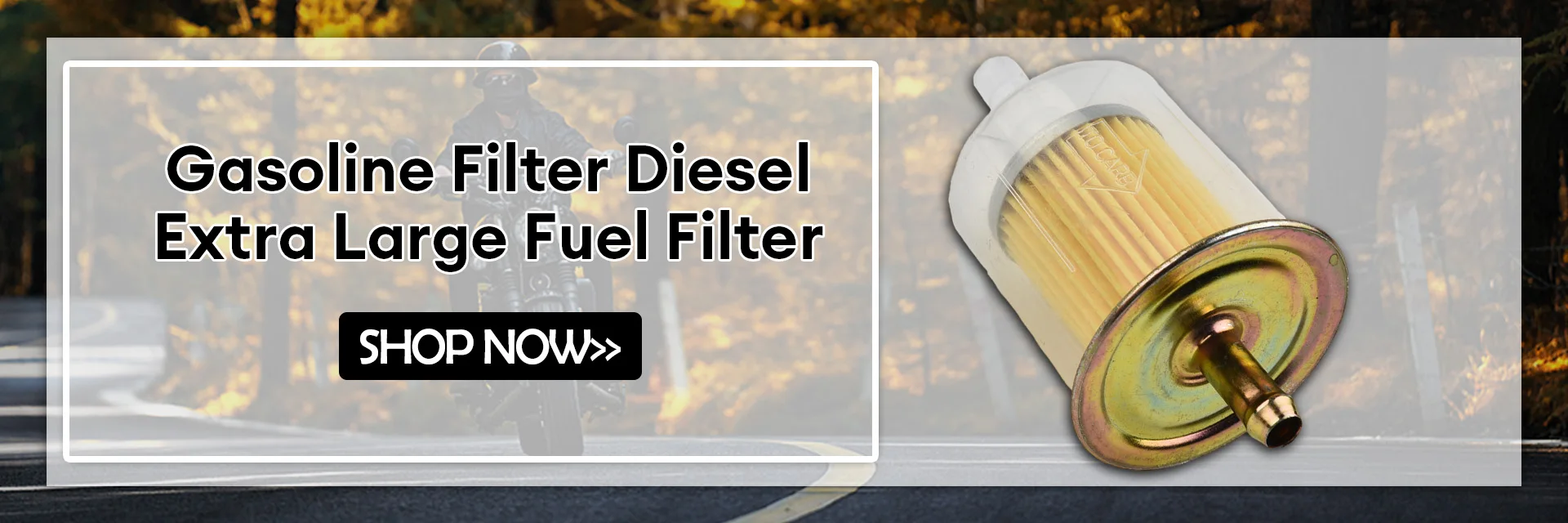 1 Stück Diesel Extra Großer Kraftstofffilter Universal RV Inline-Kraftstoffleitung für Gartengeräte, Roller, Motorräder, Autos – Detail 1