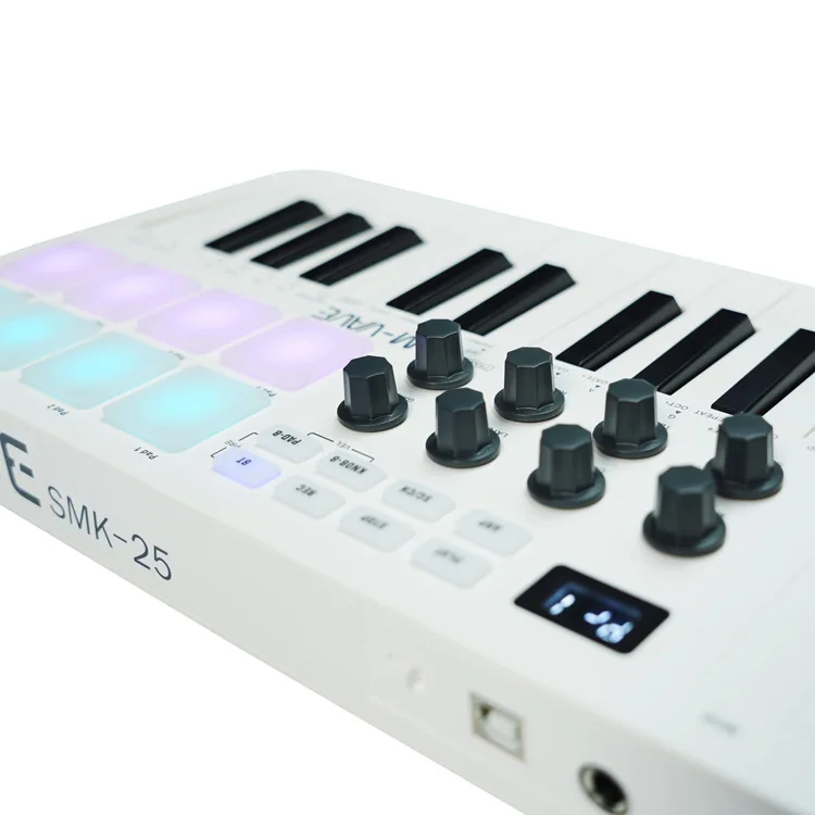 MIDI Keyboard Controller 25 Key Portable with RGB Drum Pads for Music Production Studio