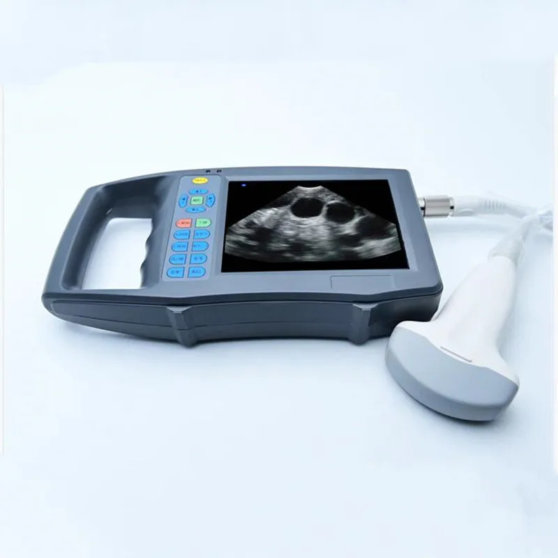 Portable HD Color Veterinary B Ultrasound Machine Pig Sheep Livestock Pregnancy Detector