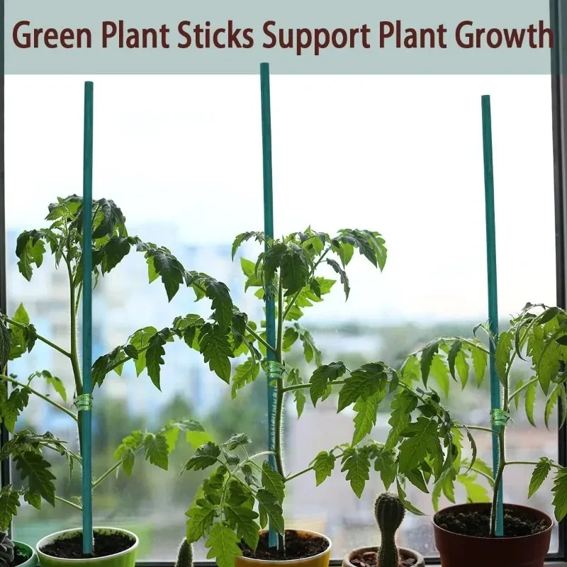 Plant Support Sticks Canes Bamboo Plants Support Stakes Plants Tomato Sticks Supports Flower Sticks Climbing Plant Garden Sticks view 4