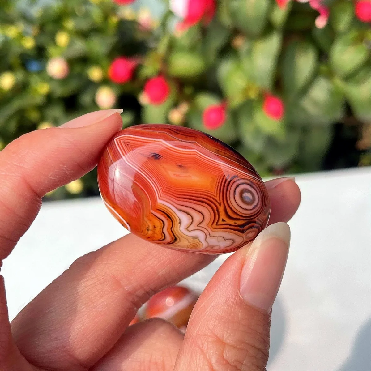 Large Natural Banded Agate Multi Color, Polished Tumbled, Hand Selected, Terrarium Decor, Crystal Collection, Table Display