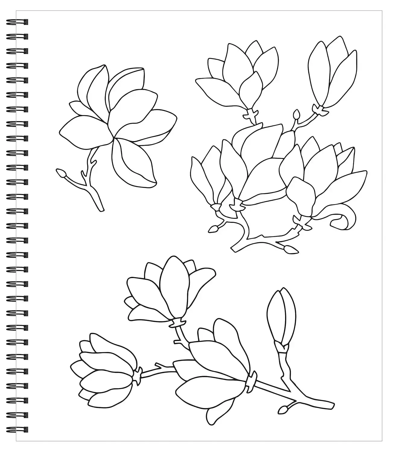 طباعة كبيرة سهلة الألوان والإطار - هادئة (كتاب تلوين خالٍ من الإجهاد)
