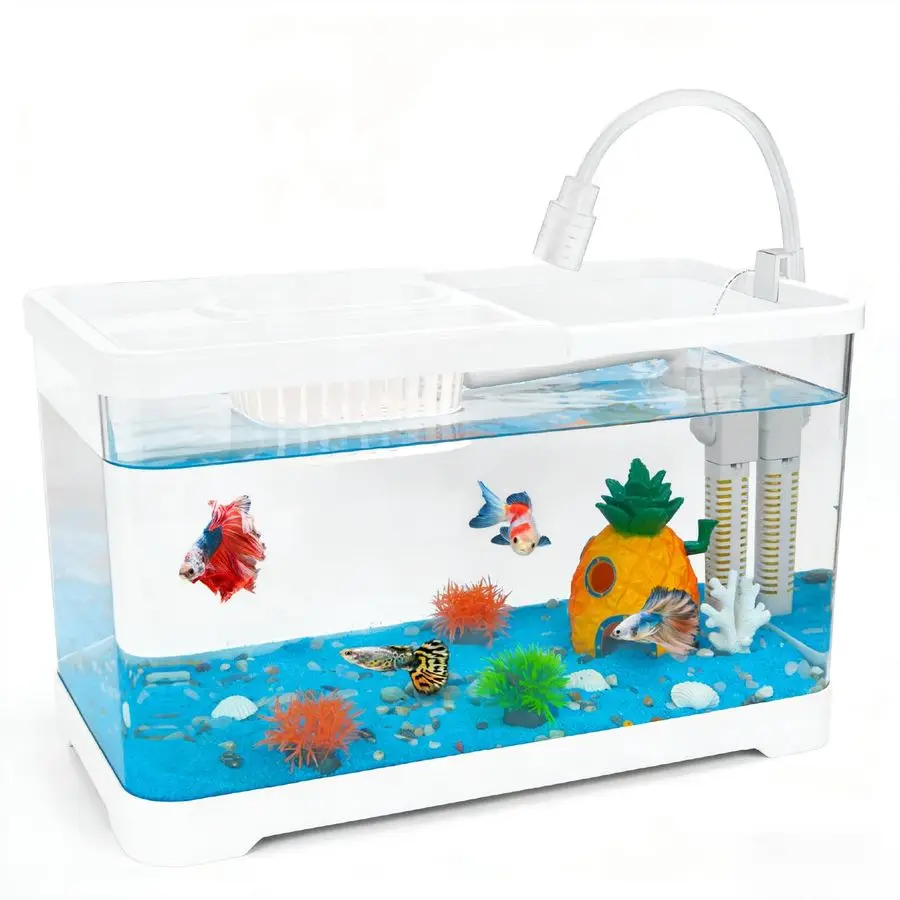 Gallon Fish Tank Aq…