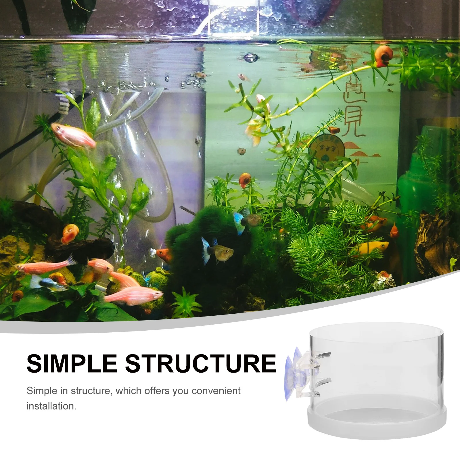 

Fish Feeding Holder Floating Feeder Circle Suction Cup Small Aquarium Acrylic Feeder Convenient Fish Tank Accessories