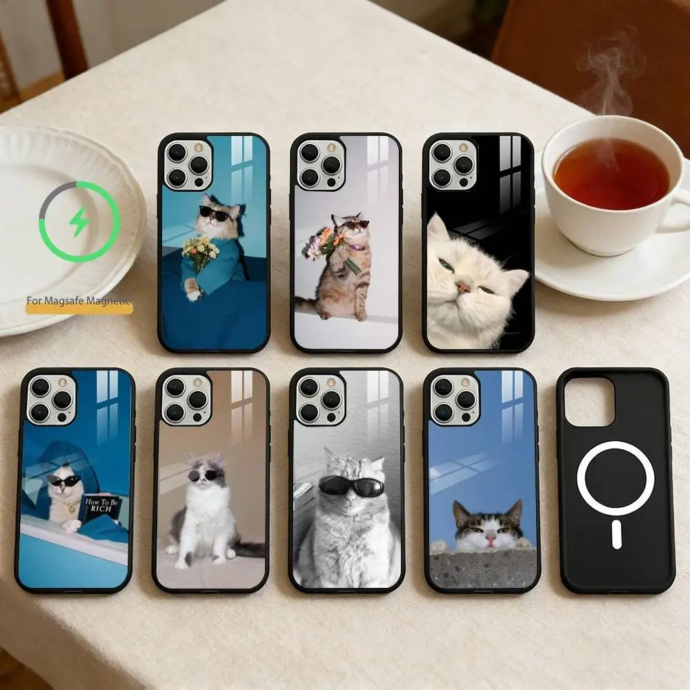 

Cool cat cute Phone Case For iPhone 14,16,15,13,17,12,Plus,Pro,Max Magnetic For Magsafe Frosted Cover