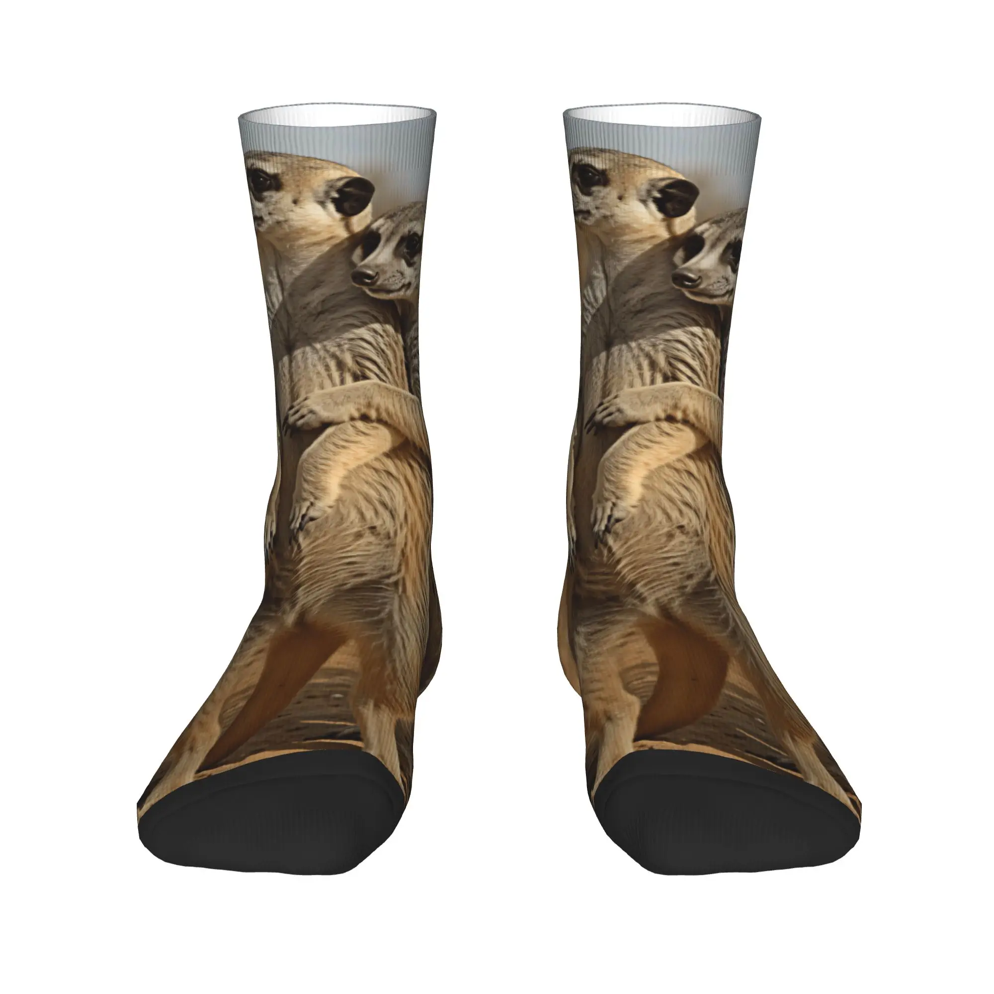 Two Meerkats Standing And Hugging Desert Scene Print Stockings  Korean Socks Men's Medium Soft Socks Winter Non Slip Socks Gift