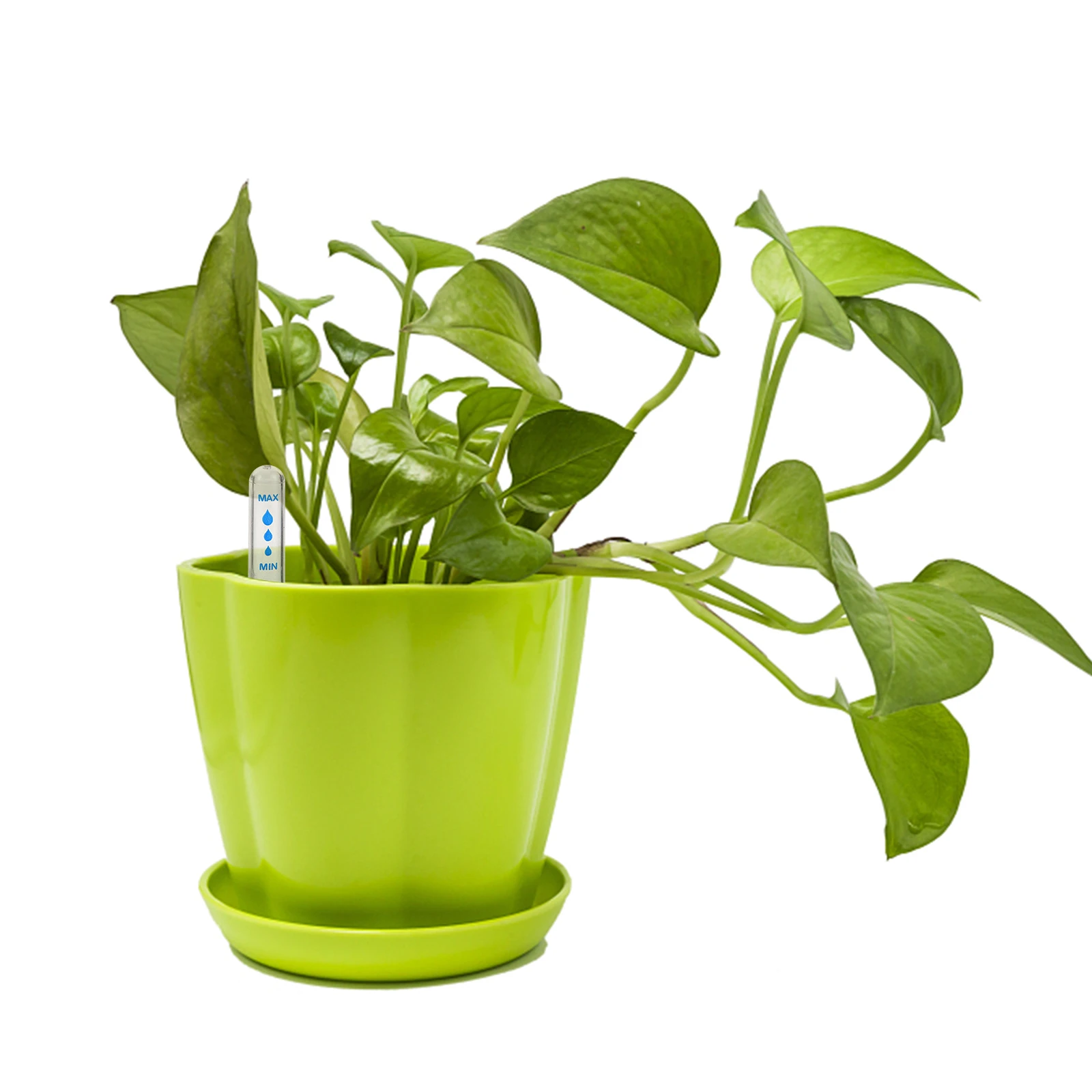 

5pcs Water Level Indicator Accessories Clear Display Scale Caps Plant Watering Gauge Plastic Material Easy Installation Flower