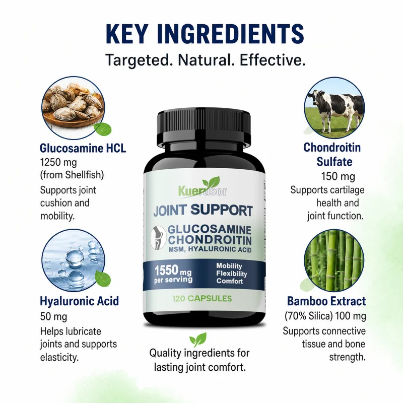 Glucosamine Chondroitin, MSM,  - Glucosamine Chondroitin Joint review and price