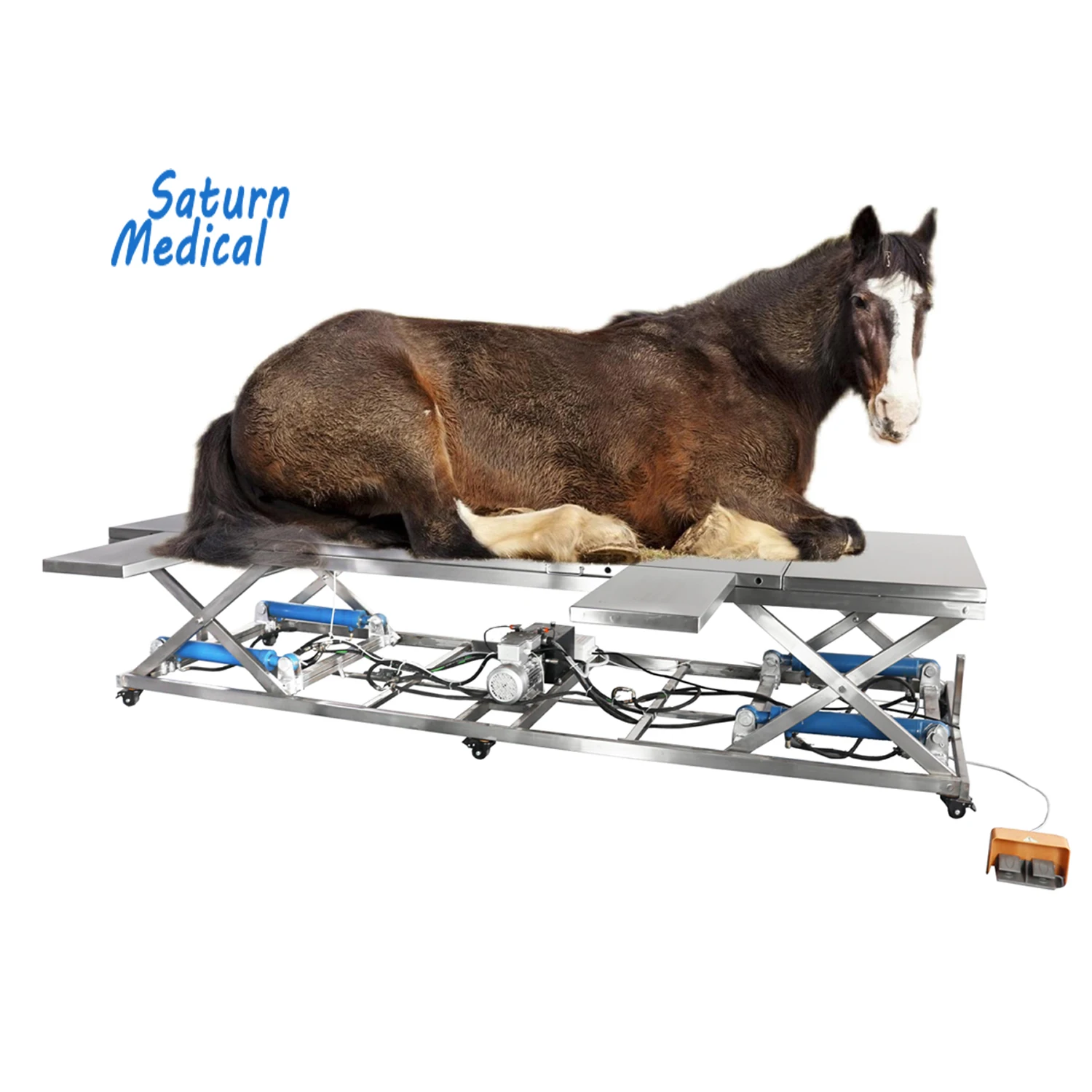 304 Stainless Steel Reusable Electrical Hydraulic Veterinary Horse Equine Large Animal Cattle Operating Table