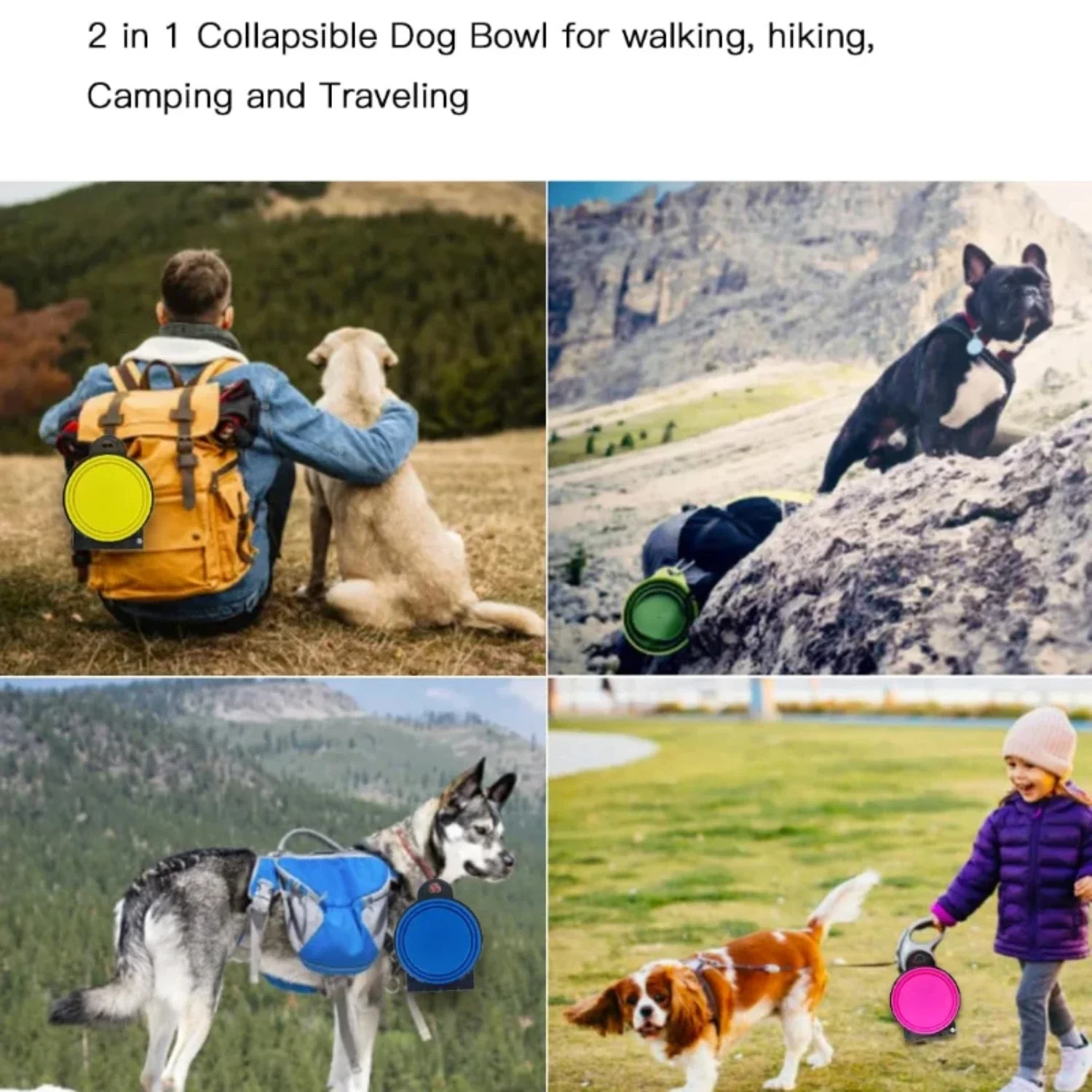 Ultimate Portable, Lightweight, and Convenient Dual Foldable Bowl - The Ideal 2-in-1 Feeding and Drinking Solution for Dogs and