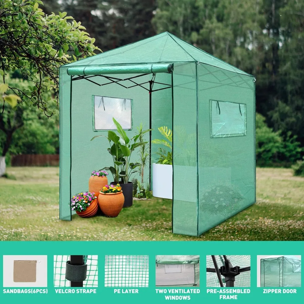 6'x 5' Portable Walk-in Greenhouse Easy Setup,Indoor Outdoor Greenhouse Garden Green Houses Instant Pop-up Greenhouse,2 R