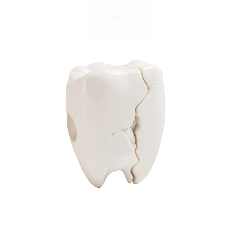 

Kacha teeth, suitable for AirPods soft case, Apple earphone protective case, silicone earphone protection