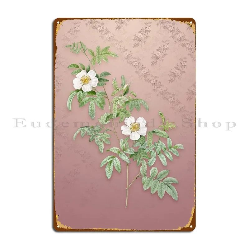 Musk Rose On Dusty Pink Metal Signs Wall Mural Decoration Printed Poster Wall Decor Tin Sign Poster