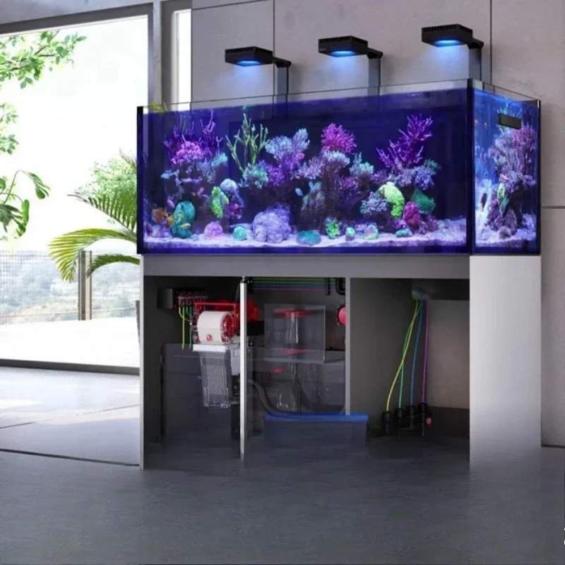fish tank seawater, sea tank aquarium, bottom filter fish tank