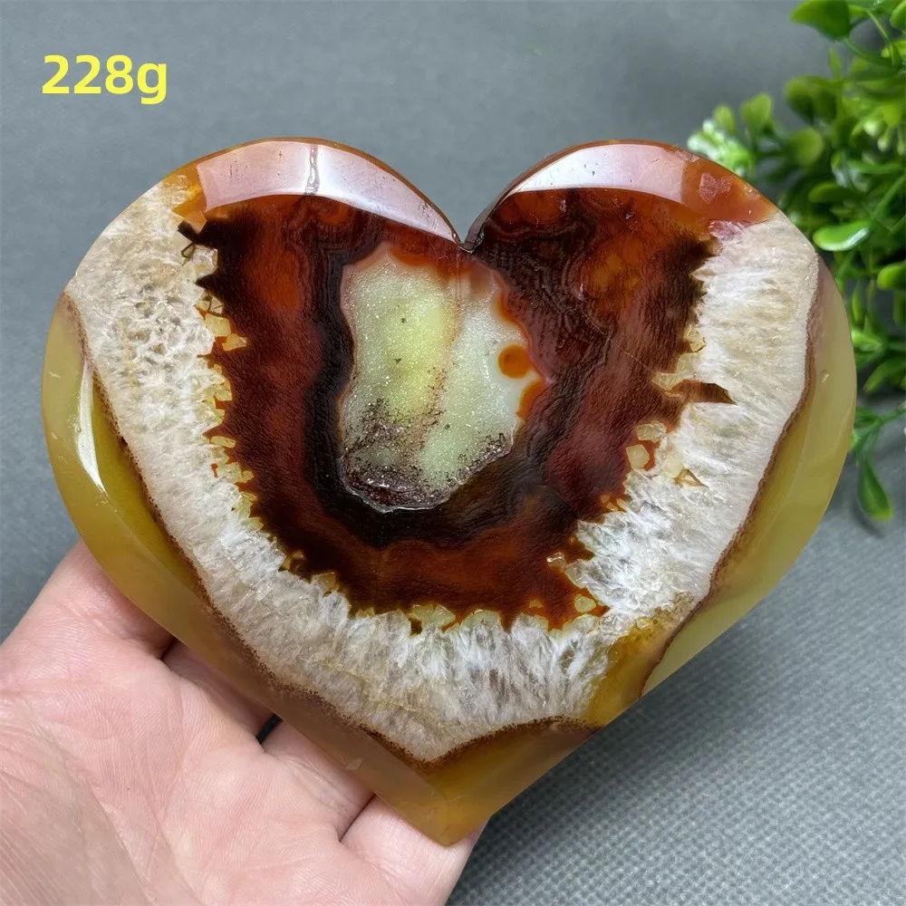 A21 228g