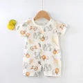 Lion Elephant Deer