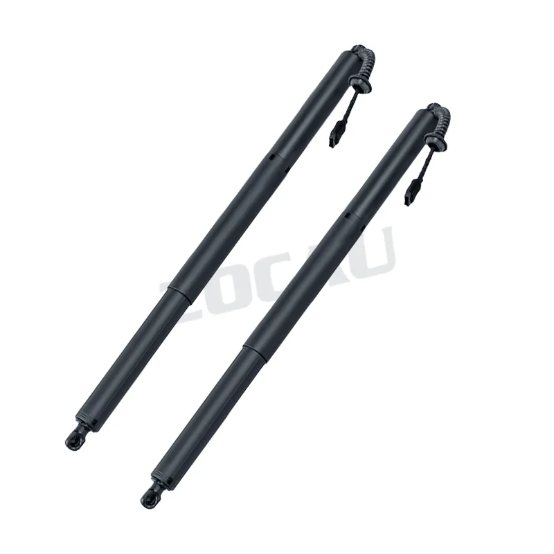 For BMW 2 Series MPV (F48) Left Right Universal Electric Tailgate Gas Spring Struts 51247365979