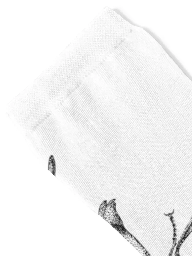 النملة واقعية في الجوارب السوداء والبيضاء المستجدات أنيمي الرياضة المخصصة الكثير الجوارب النساء الرجال