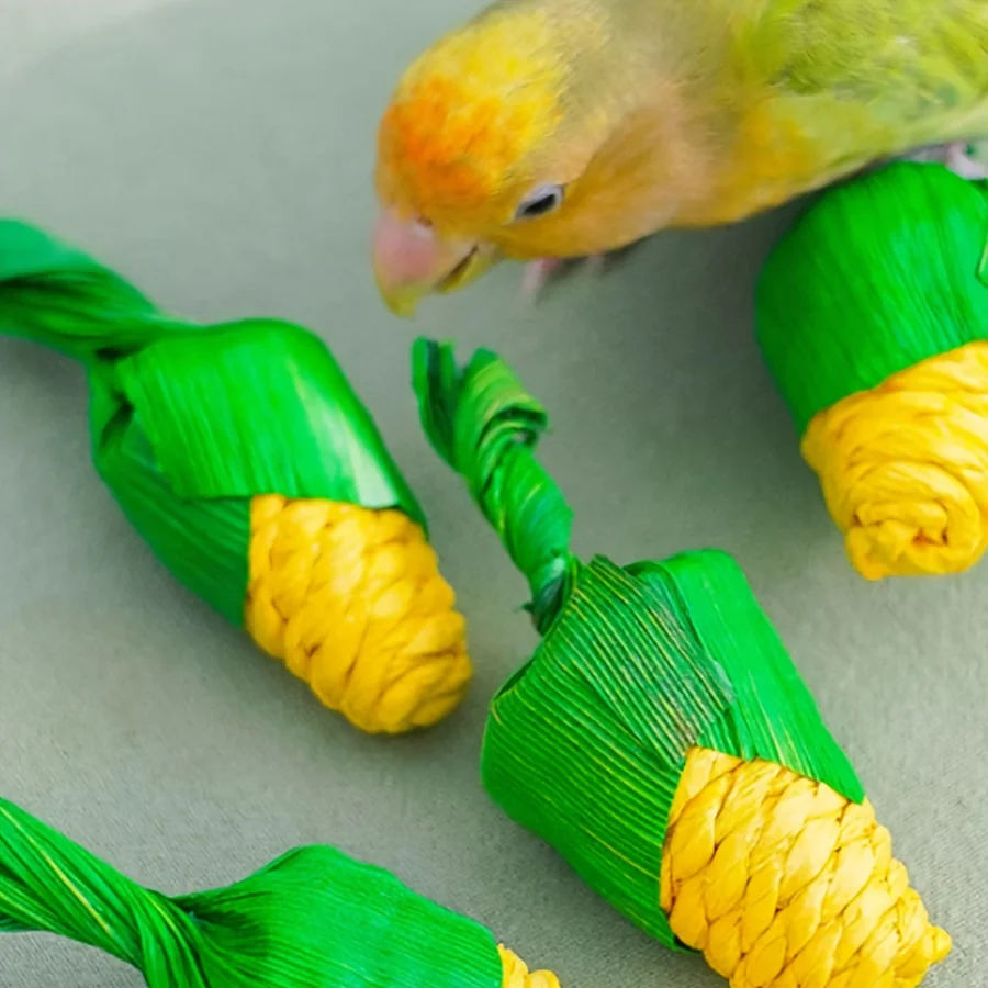 2pcs Parrot Corn Husk Chew Toys, Boredom Relief and Beak Gri