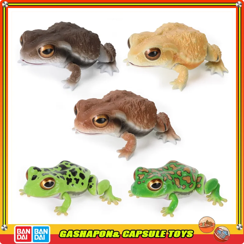 

BANDAI Biological Encyclopedia Action Figures Model Toad and Frog Gashapon Official Genuine Ornament Collectable Toys