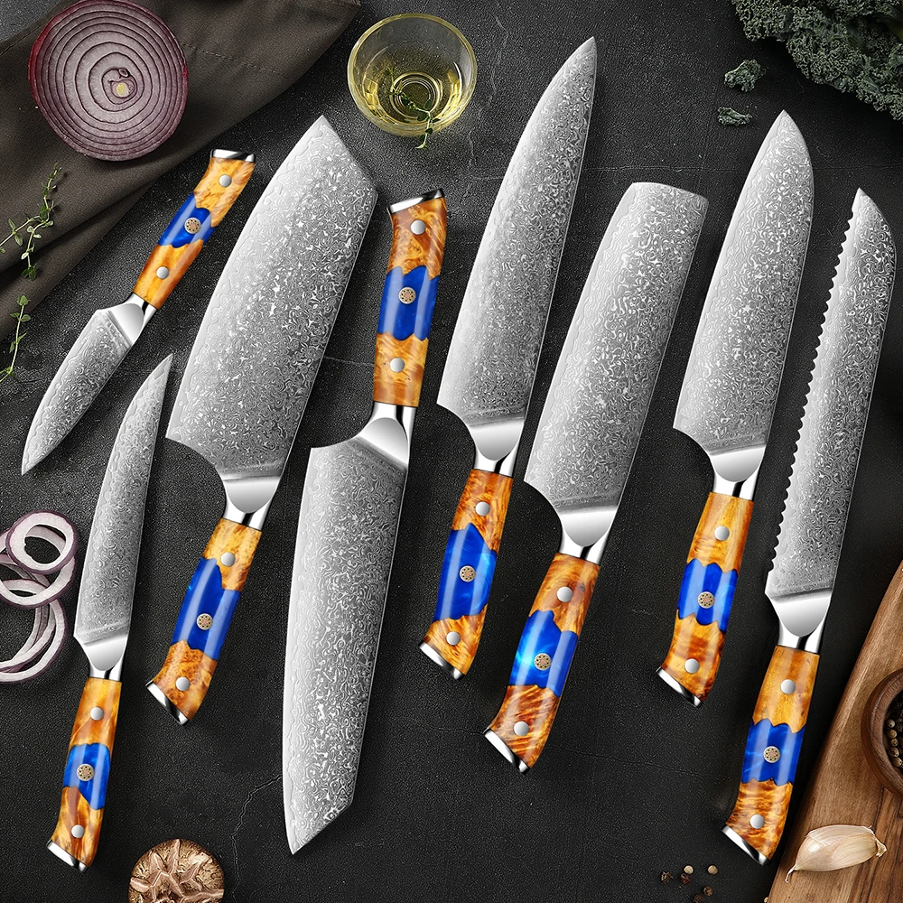 Ultra Sharp Damascus Kitchen Knives Japanese VG10 Steel Core Chef Cooking Knife Blue Resin Stabilized Wood Handle Fruit Knives