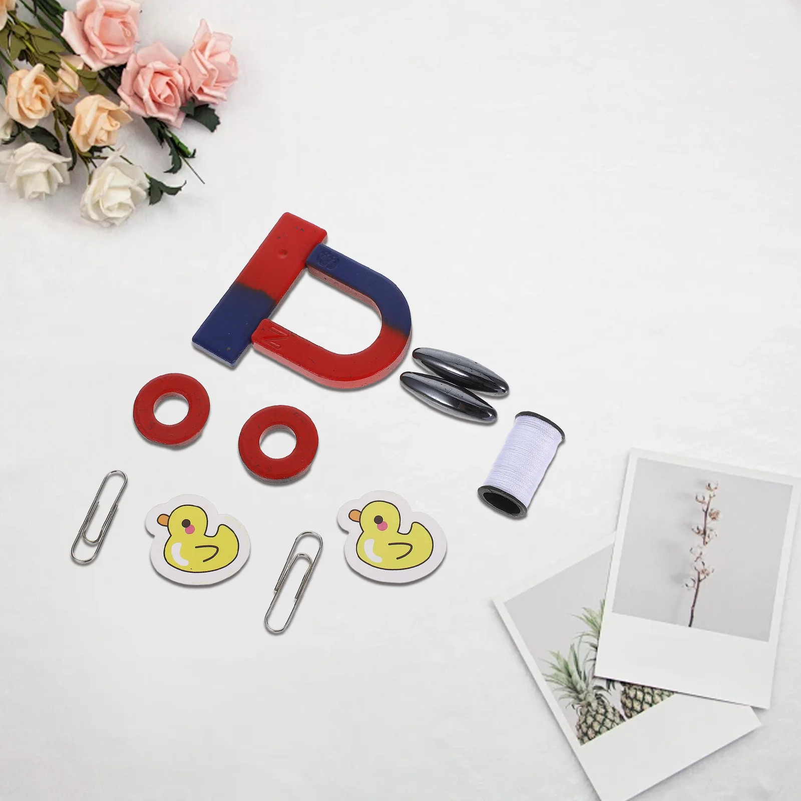 1Set Physics Experiment Magnet Set Educational Stem Science Kit Classroom Magnets School Learning Science Experiment Materials