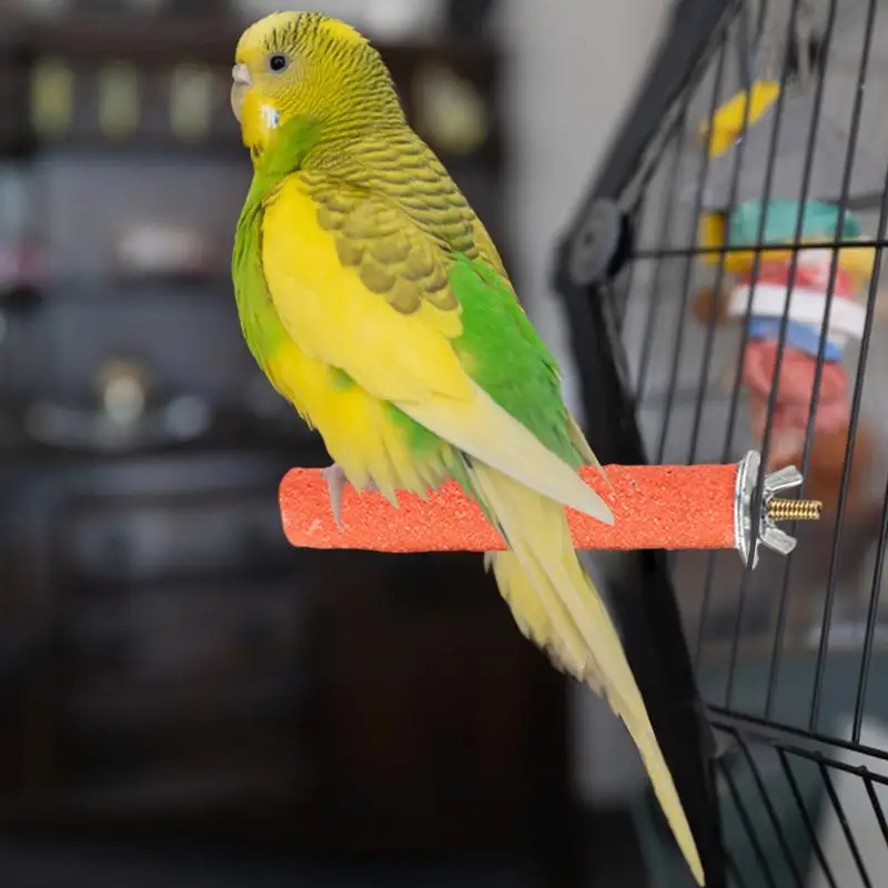 Burung berdiri tongkat Gerinda tongkat berdiri buram untuk kandang burung bayan mainan tempel dengan pasir kuarsa alami untuk Budgies sedang burung bayan