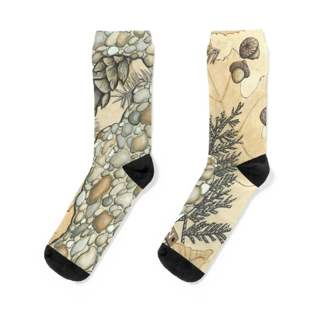 

Michigan Rocks Socks football hiking cartoon anime Socks Women Men's