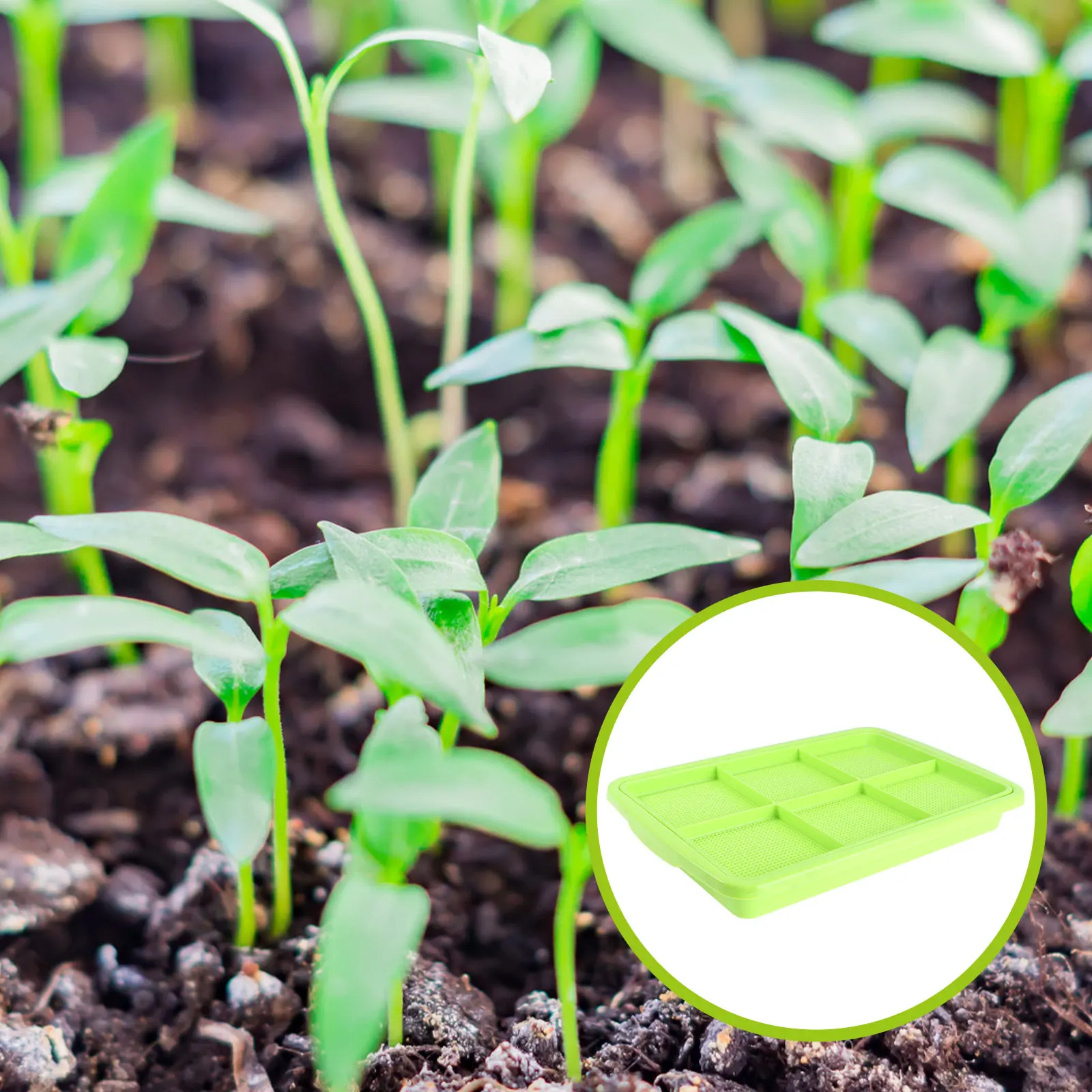 

Двухслойный лоток для проростков 32x22 см, пищевой полипропиленовый лоток для выращивания семян, без почвы, лоток для проростков, для хранения овощей, ростковка