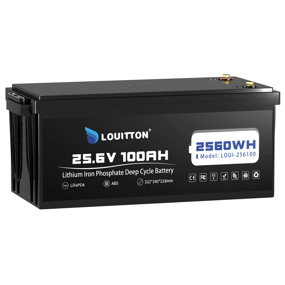 

LifePo4 Battery 25.6V 100Ah 2560Wh Load Power, Rechargeable with BMS 100A 6000 Cycles for Motorhome Off-Grid System Solar Storag