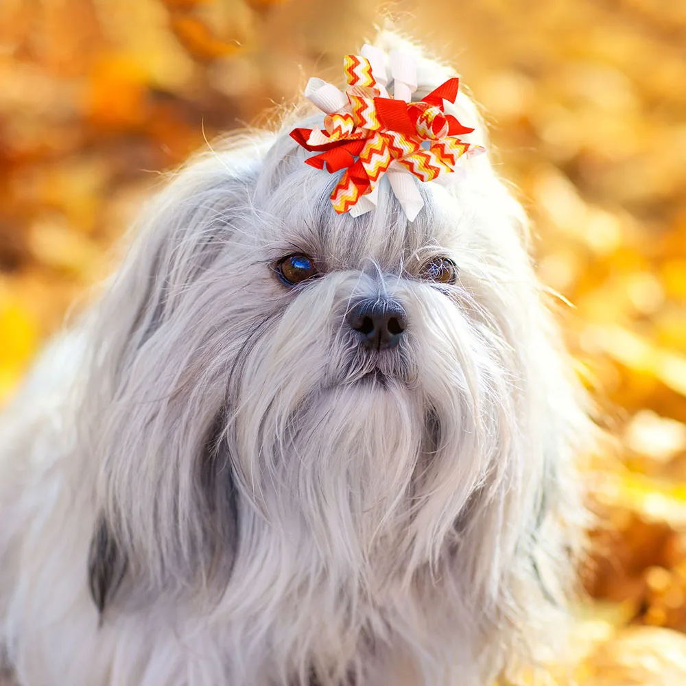 Imagem -03 - Queda de Borracha para Pet Grooming Arcos para Cães Thanksgiving Cão Pequeno Acessórios para o Cabelo do Gato 50 Pcs