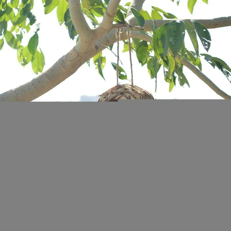 2024 neue Vögel Nest Vogelkäfig Gras Eier käfig Vogelhaus im Freien dekorativ gewebt hängenden Papagei Nest Häuser Haustier Schlafzimmer – Detail 6