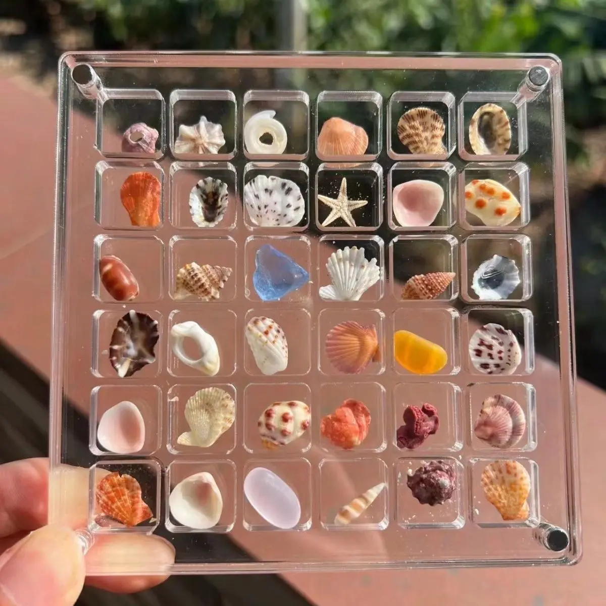 

32/64 Grid Acrylic Magnetic Seashell Display Box,Clear Display Box for Diamond Gems Earrings Rings Jewelry Storage Display Box