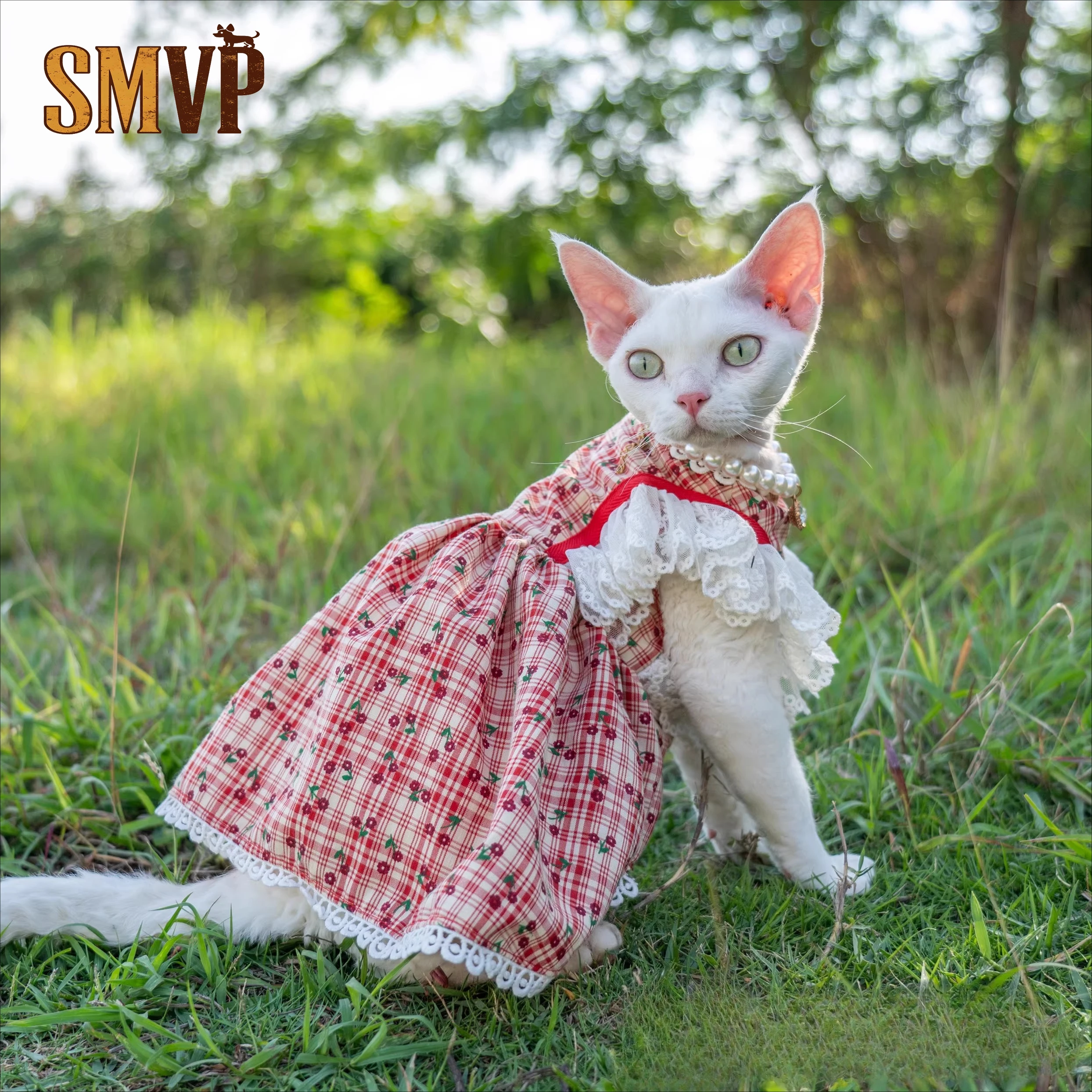 

Spring and Summer Cotton Anti Wrinkle Heavy Lace Small Flying Sleeve Dress Pastoral Fluffy Skirt for Kittens and Small Dogs