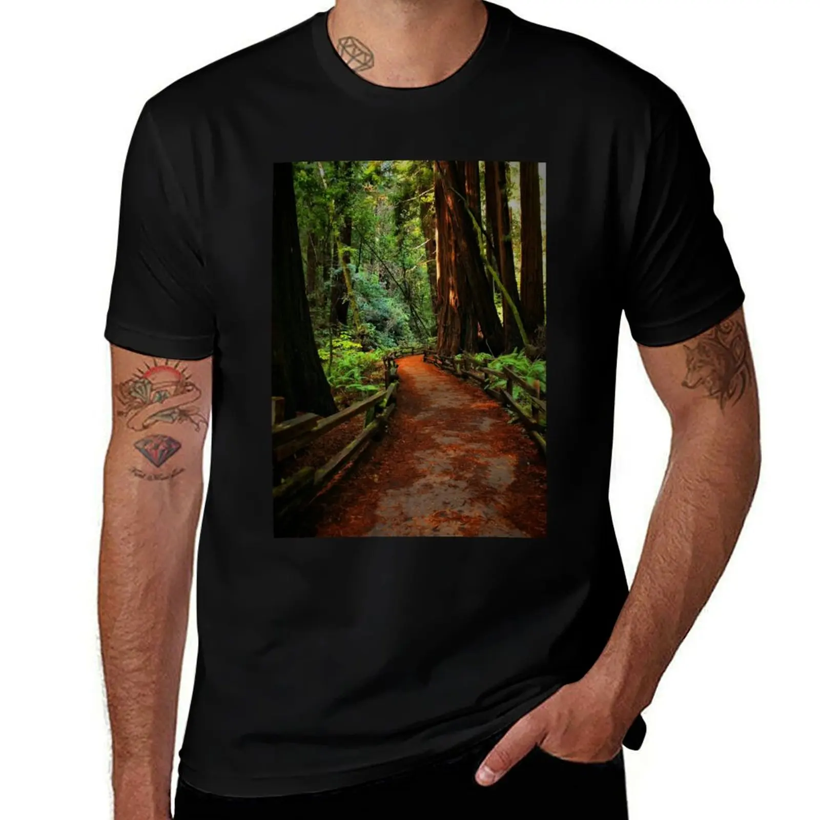 

Walk Through Redwoods T-Shirt printed t shirts for man anime tshirt man t shirt cotton high quality T-shirt