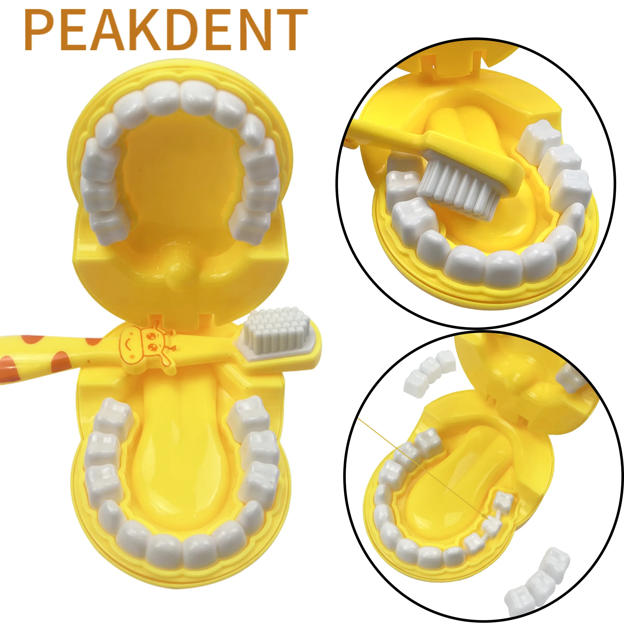 Girafa escova de dentes demonstração modelo de ensino modelo de dentes para crianças aprendizagem precoce crianças presentes dentários brinquedo para crianças