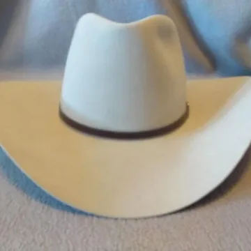 

Belt Decorated Sheepskin Felt Hat Western Style Cowboy Style Pure Wool Hat