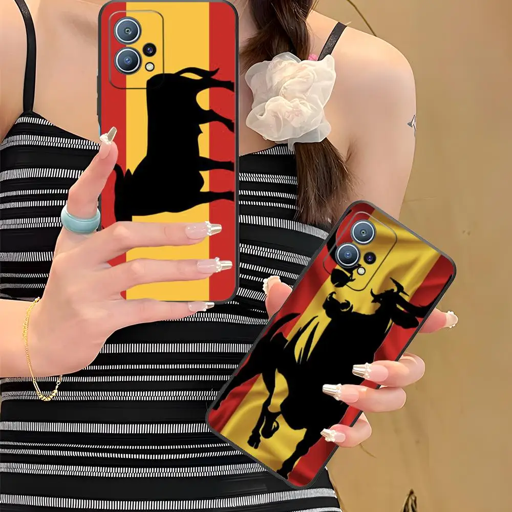 Spain Bullfight Mat…