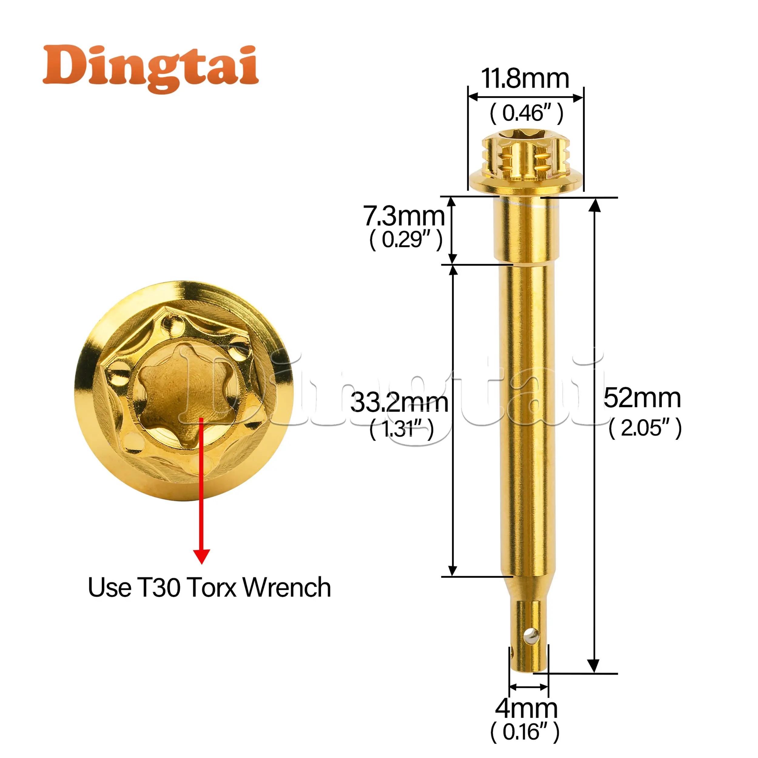 Dingtai Titanium Bolt  brake pins, caliper pad, rear screw, motorcycle, oil, disc, brake caliper, guide pin