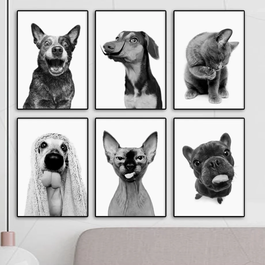Pósteres de animales caprichosos en blanco y negro, lienzo divertido con lengua para gato y perro, decoración artística para el hogar y la sala de estar, regalo perfecto