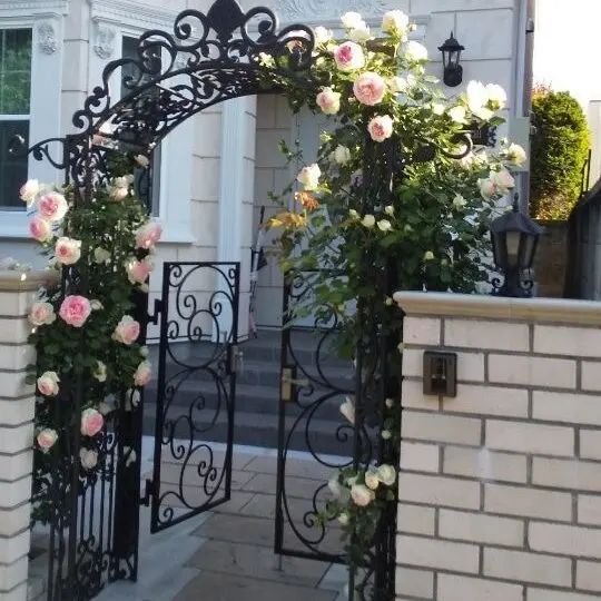 Customized Metal Garden Trellis with Scrollwork Design Hand Forged Iron Construction for Climbing Roses and Vines