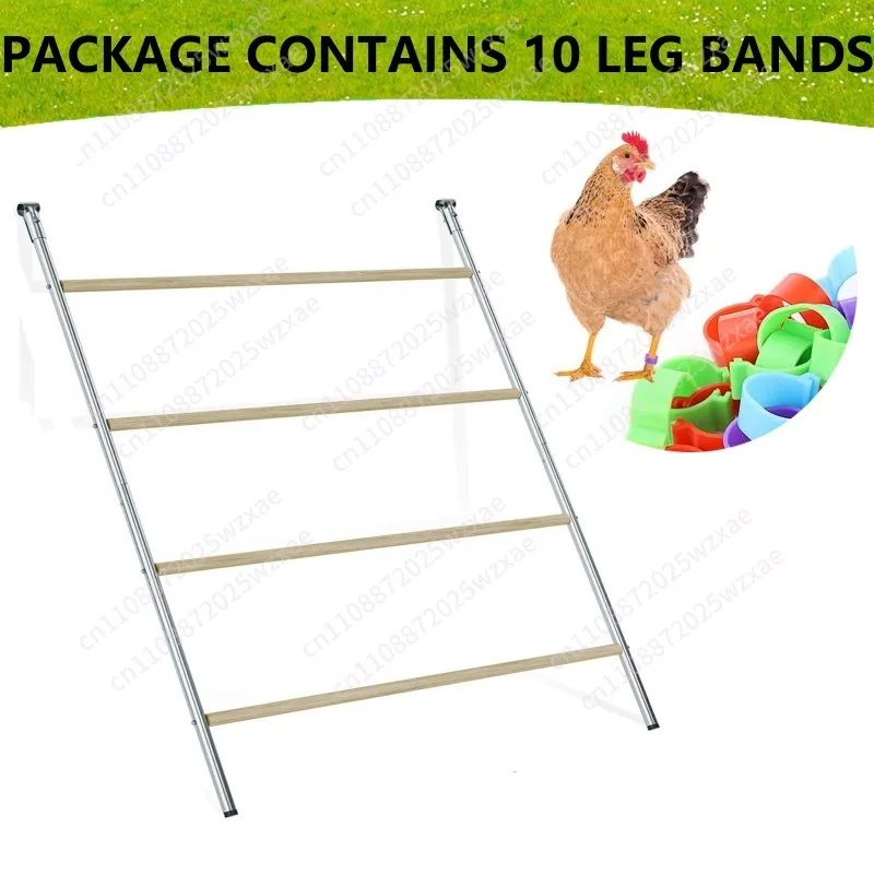 Coop perch rack with ladder design, weatherproof chicken perch pole, durable backyard poultry coop access