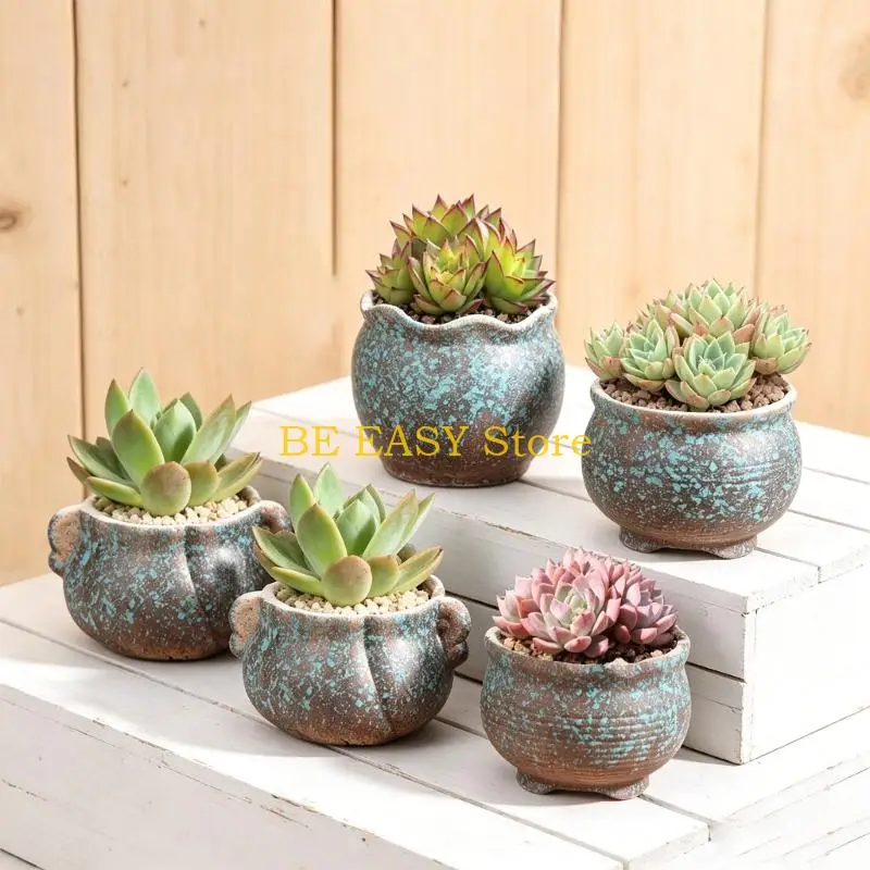 E28F Mixed Form Ceramic Flower Pots, 5 Piece Small Pot Set for Indoor Home Use on Desks, Shelves and Window Display Space