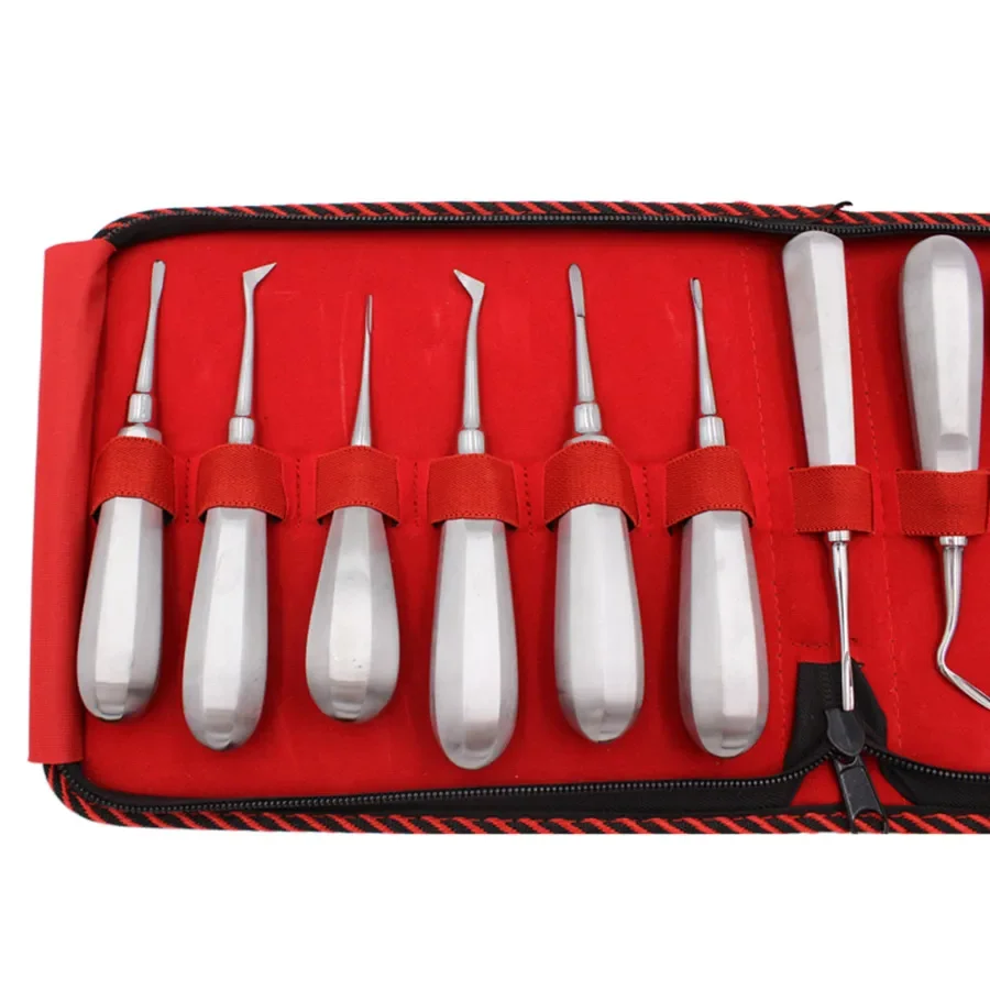 치과 Luxating 리프트 엘리베이터 치아 Clareador 곡선 루트 육각형 핸들 치과 의사 외과 스테인레스 스틸 악기 도구