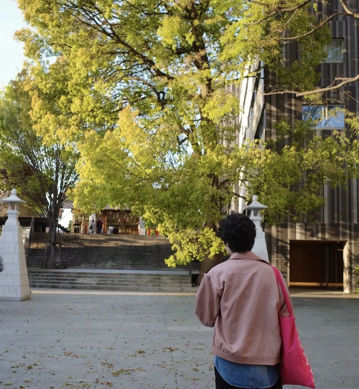 2025 سترة VISVIM MAYFIELD SWING TOP (W/L)، نمط المال القديم