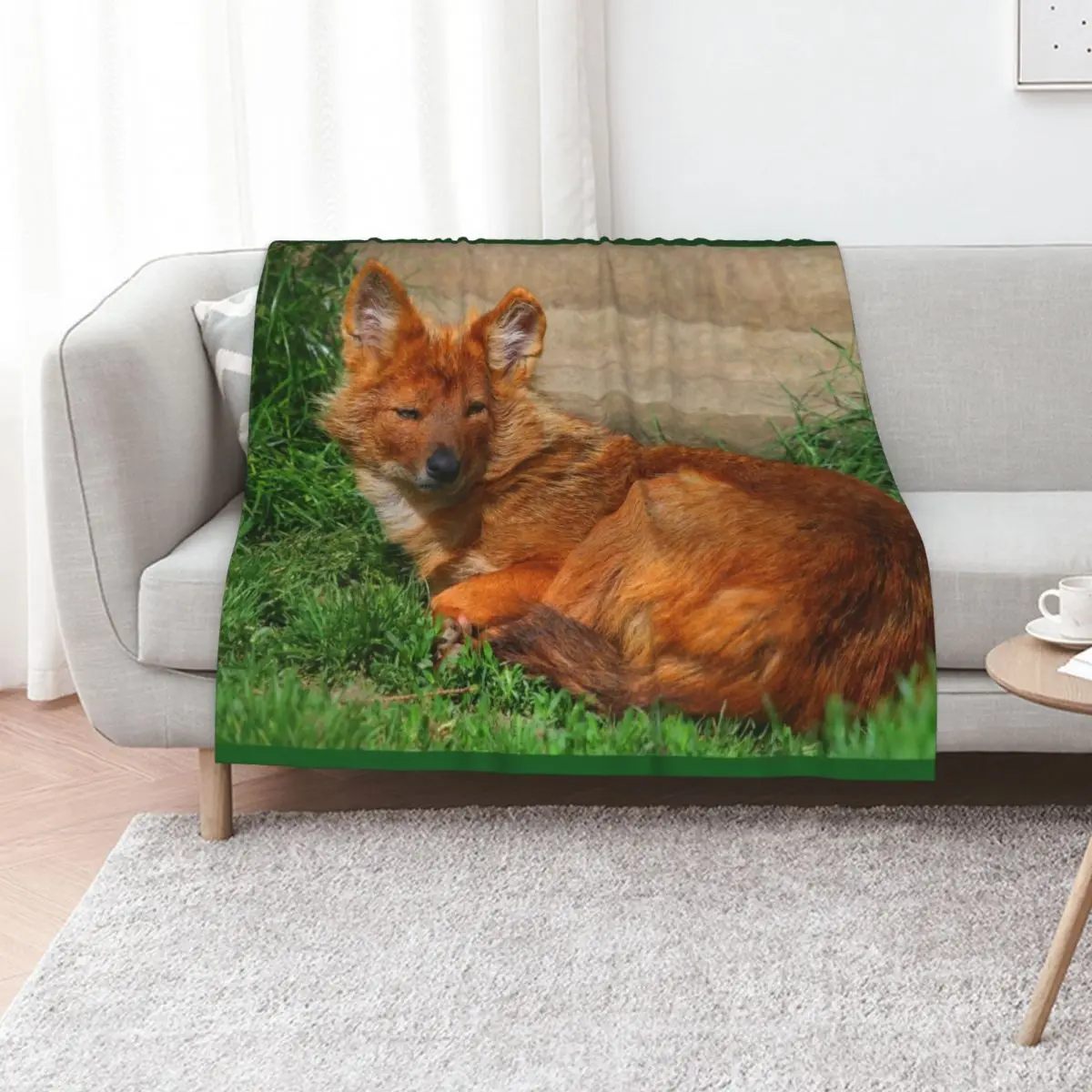 

Dhole Daze Throw Blanket Blankets Sofas Of Decoration Stuffeds Polar Single Blankets