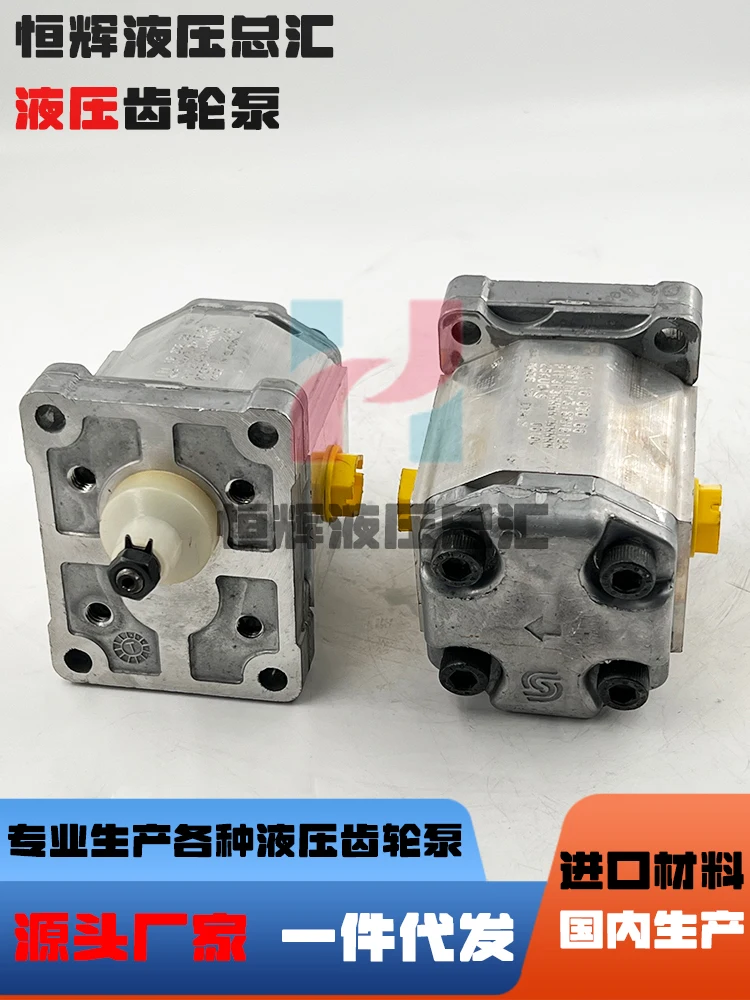High pressure oil pump gear pump SNP1/2.2DC001F SNP1NN/3.8 hydraulic pump SNP2 SNP3