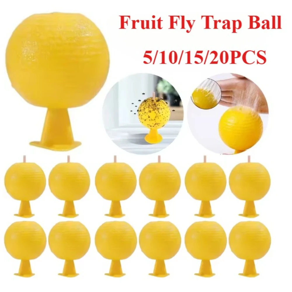 Mosquito And Fruit … - image